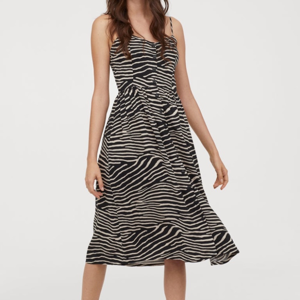 NWOT H&M Zebra Button Down Dress
